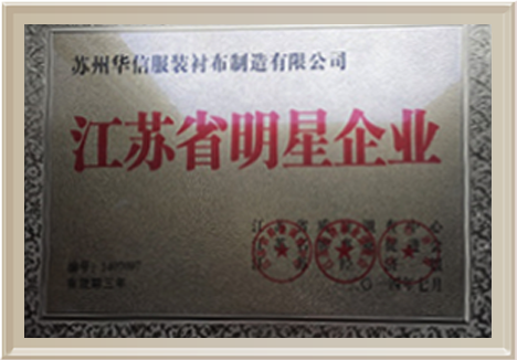 江蘇省明星企業(yè)